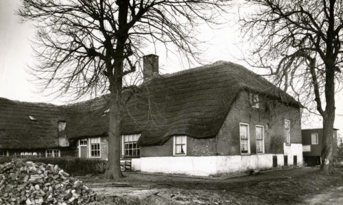 BoerderijArkesteijn1960
