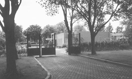 Begraafplaats Maasdijk1 1024